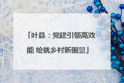 叶县：党建引领高效能 绘就乡村新图景