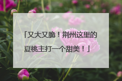 又大又脆！荆州这里的夏桃主打一个甜美！