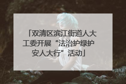 双清区滨江街道人大工委开展“法治护绿护安人大行”活动
