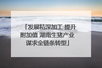 发展精深加工 提升附加值 湖南生猪产业谋求全链条转型