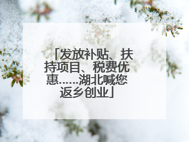 发放补贴、扶持项目、税费优惠……湖北喊您返乡创业