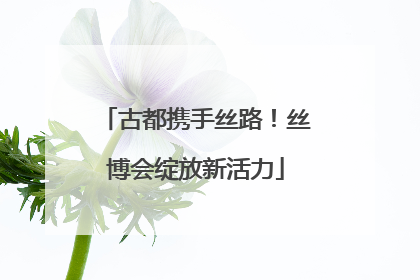 古都携手丝路！丝博会绽放新活力
