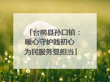 台前县孙口镇：暖心守护践初心 为民服务显担当