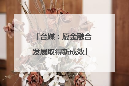 台媒：厦金融合发展取得新成效