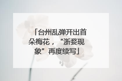 台州乱弹开出首朵梅花，“浙婺现象”再度续写