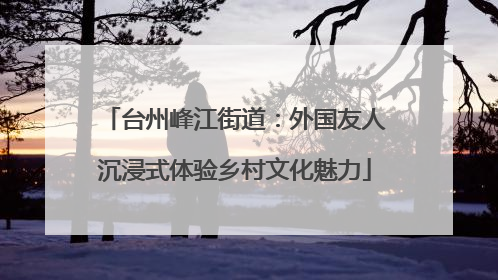 台州峰江街道：外国友人沉浸式体验乡村文化魅力