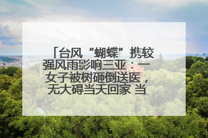 台风“蝴蝶”携较强风雨影响三亚：一女子被树砸倒送医，无大碍当天回家 当地已紧急清障