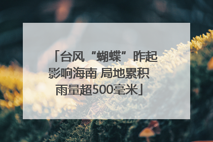 台风“蝴蝶”昨起影响海南 局地累积雨量超500毫米