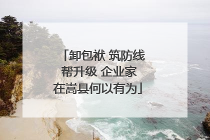 卸包袱 筑防线 帮升级 企业家在嵩县何以有为