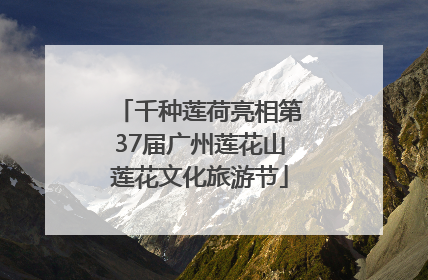 千种莲荷亮相第37届广州莲花山莲花文化旅游节