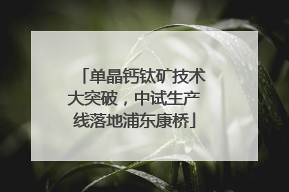 单晶钙钛矿技术大突破，中试生产线落地浦东康桥