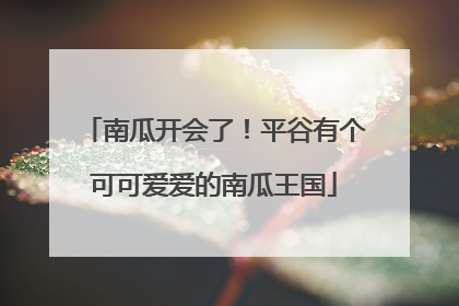 南瓜开会了！平谷有个可可爱爱的南瓜王国