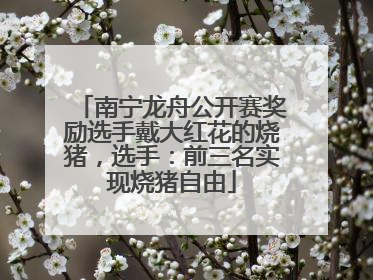 南宁龙舟公开赛奖励选手戴大红花的烧猪，选手：前三名实现烧猪自由