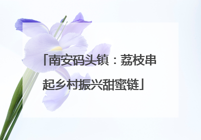 南安码头镇：荔枝串起乡村振兴甜蜜链