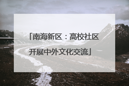南海新区：高校社区开展中外文化交流