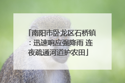 南阳市卧龙区石桥镇：迅速响应强降雨 连夜疏通河道护农田