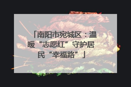南阳市宛城区：温暖“志愿红”守护居民“幸福路”