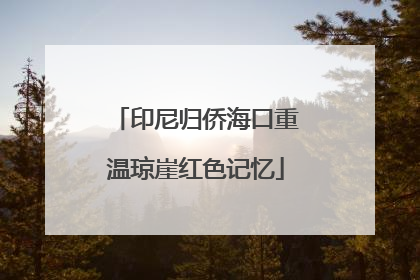 印尼归侨海口重温琼崖红色记忆