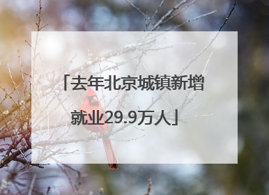 去年北京城镇新增就业29.9万人