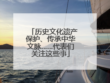 历史文化遗产保护、传承中华文脉……代表们关注这些事