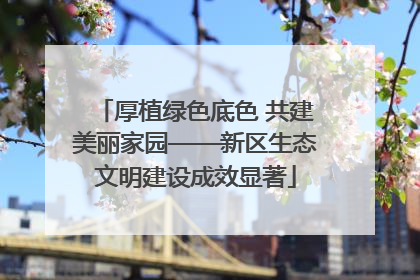 厚植绿色底色 共建美丽家园——新区生态文明建设成效显著