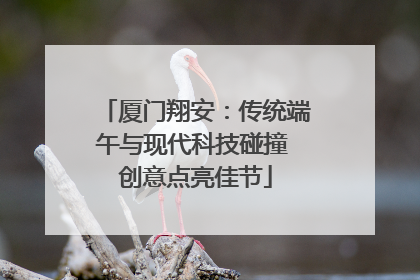 厦门翔安：传统端午与现代科技碰撞 创意点亮佳节