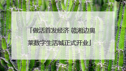 做活首发经济 赣湘边奥莱数字生活城正式开业