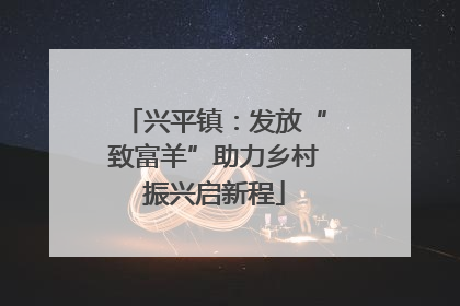 兴平镇：发放“致富羊”助力乡村振兴启新程