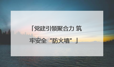 党建引领聚合力 筑牢安全“防火墙”