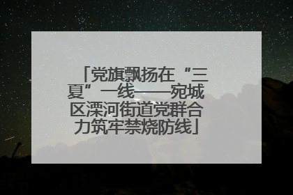 党旗飘扬在“三夏”一线——宛城区溧河街道党群合力筑牢禁烧防线