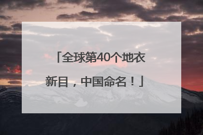 全球第40个地衣新目，中国命名！