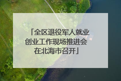全区退役军人就业创业工作现场推进会在北海市召开
