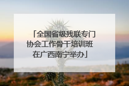 全国省级残联专门协会工作骨干培训班在广西南宁举办