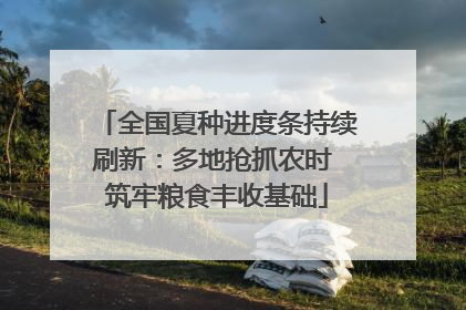 全国夏种进度条持续刷新：多地抢抓农时 筑牢粮食丰收基础