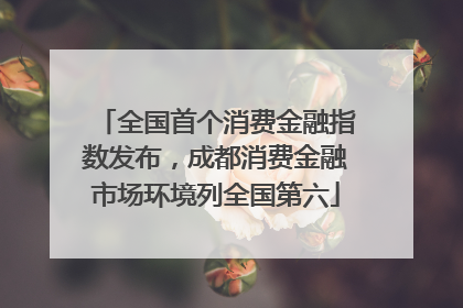 全国首个消费金融指数发布，成都消费金融市场环境列全国第六