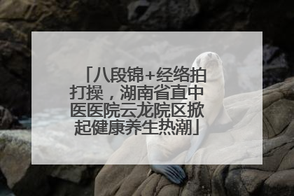 八段锦+经络拍打操，湖南省直中医医院云龙院区掀起健康养生热潮