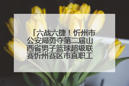 六战六捷！忻州市公安局勇夺第二届山西省男子篮球超级联赛忻州赛区市直职工组比赛冠军