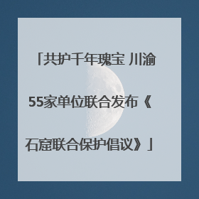 共护千年瑰宝 川渝55家单位联合发布《石窟联合保护倡议》