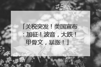 关税突发！美国宣布：加征！波音，大跌！甲骨文，暴涨！