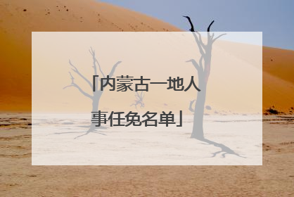 内蒙古一地人事任免名单
