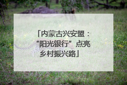 内蒙古兴安盟：“阳光银行”点亮乡村振兴路