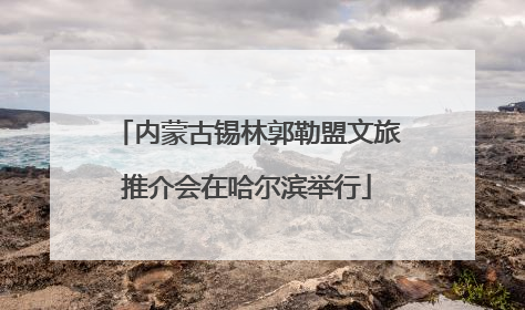 内蒙古锡林郭勒盟文旅推介会在哈尔滨举行