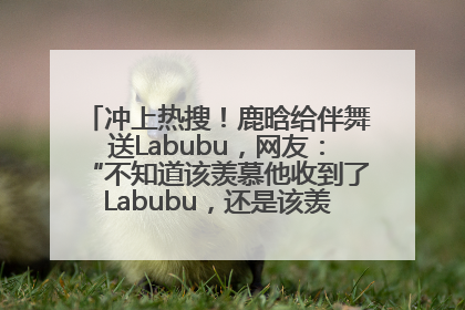 冲上热搜！鹿晗给伴舞送Labubu，网友：“不知道该羡慕他收到了Labubu，还是该羡慕鹿晗送他礼物”