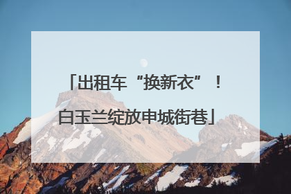 出租车“换新衣”！白玉兰绽放申城街巷