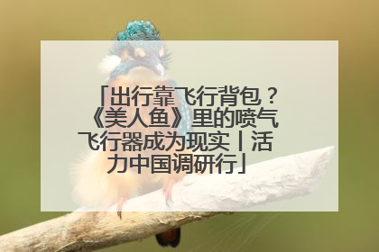 出行靠飞行背包？《美人鱼》里的喷气飞行器成为现实丨活力中国调研行