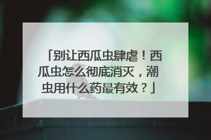 别让西瓜虫肆虐！西瓜虫怎么彻底消灭，潮虫用什么药最有效？