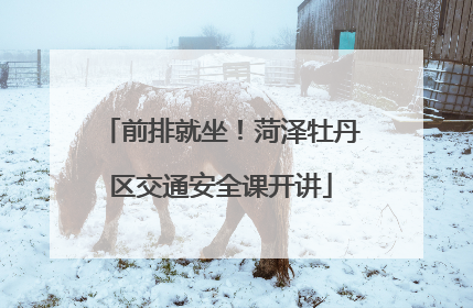 前排就坐！菏泽牡丹区交通安全课开讲