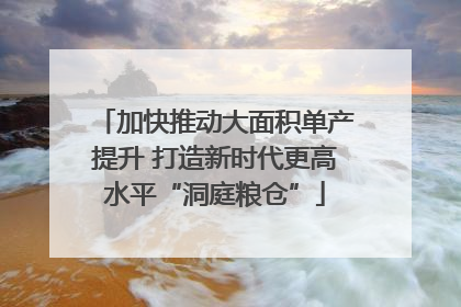 加快推动大面积单产提升 打造新时代更高水平“洞庭粮仓”
