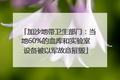 加沙地带卫生部门：当地60%的血库和实验室设备被以军故意摧毁