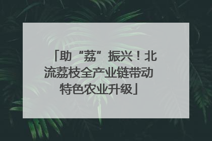 助“荔”振兴！北流荔枝全产业链带动特色农业升级